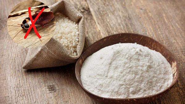 Cách chống gián trong tủ bếp​